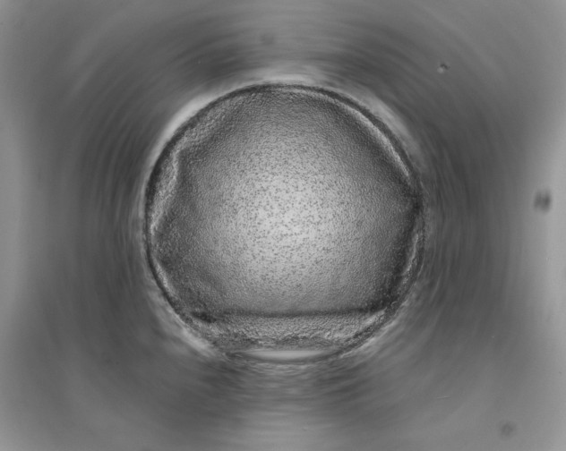 X0000094431240200711291526