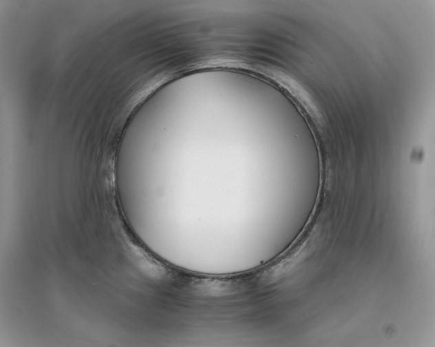 X0000094431241200711291526