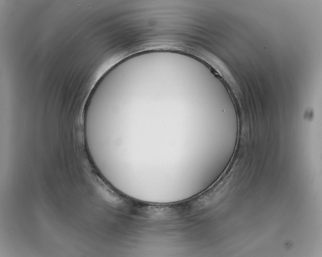 X0000094431242200711291526