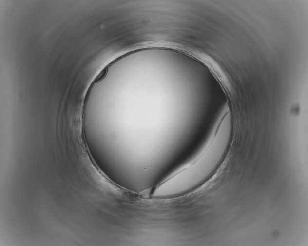 X0000094431244200711291526