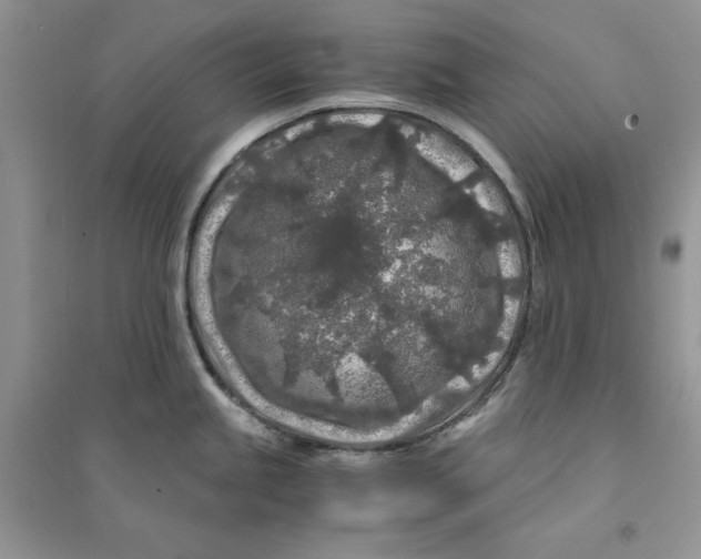 X0000094431245200711291526