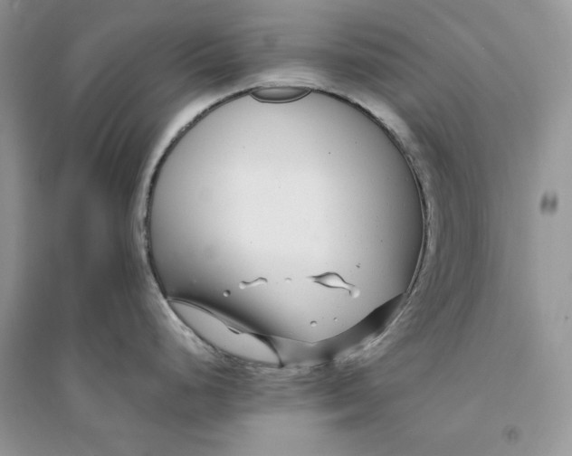 X0000094431248200711291526