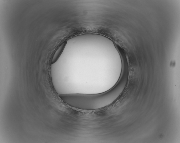 X0000094431249200711291525