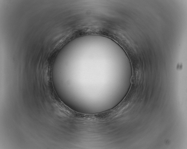 X0000094431250200711291525