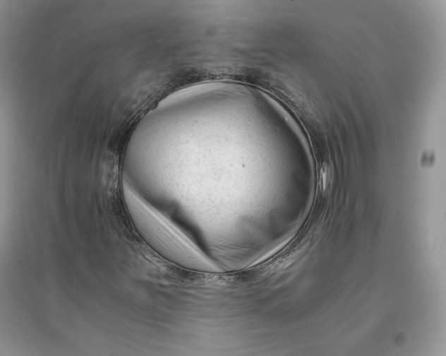 X0000094431251200711291525