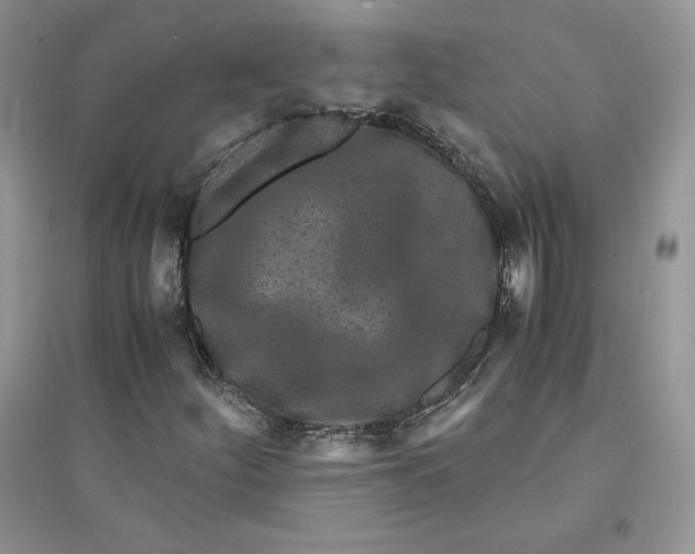 X0000094431252200711291525