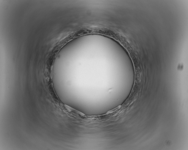 X0000094431253200711291525