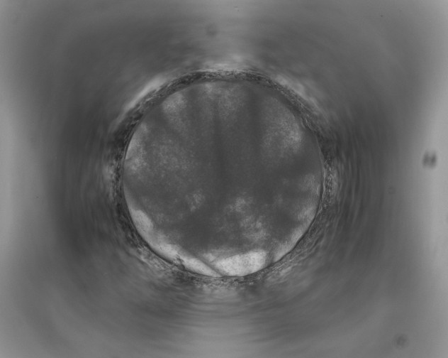 X0000094431254200711291525