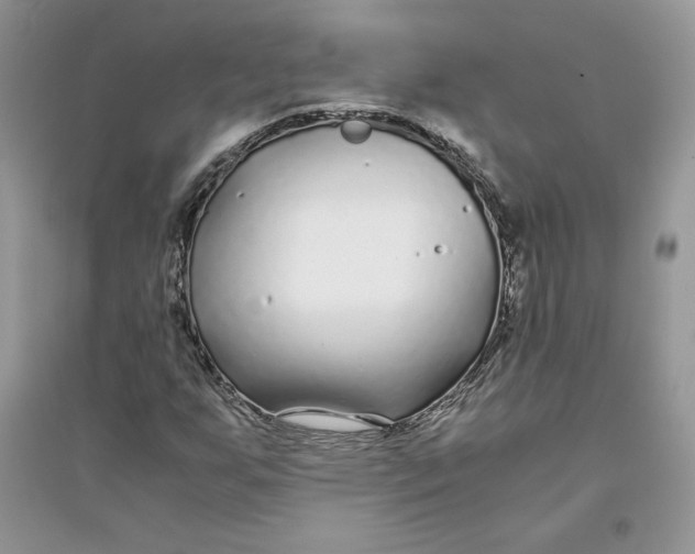 X0000094431255200711291525