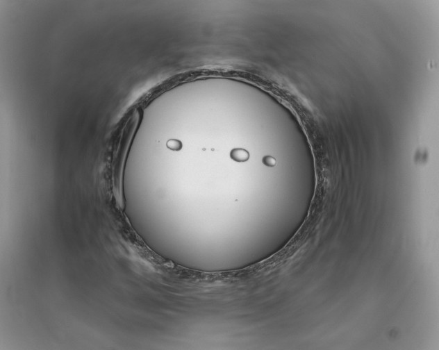 X0000094431256200711291525