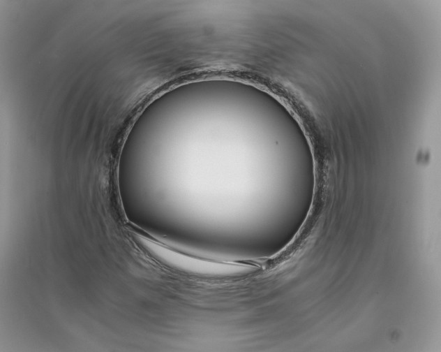 X0000094431257200711291525