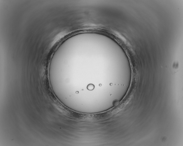 X0000094431259200711291525