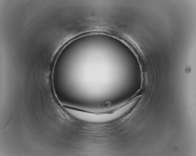 X0000094431260200711291525