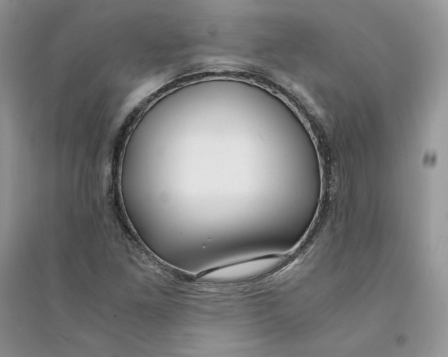 X0000094431261200711291525