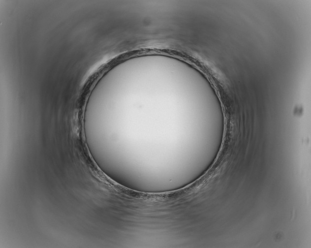 X0000094431262200711291525