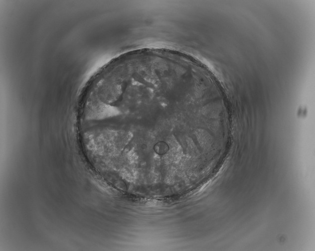 X0000094431263200711291525