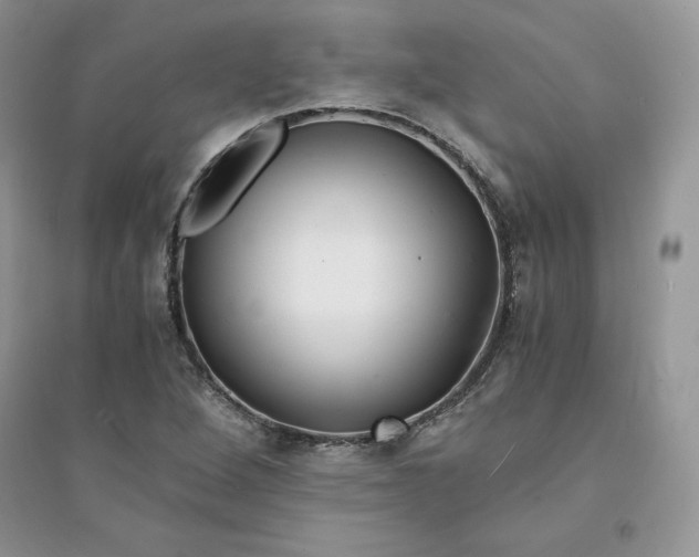 X0000094431264200711291525