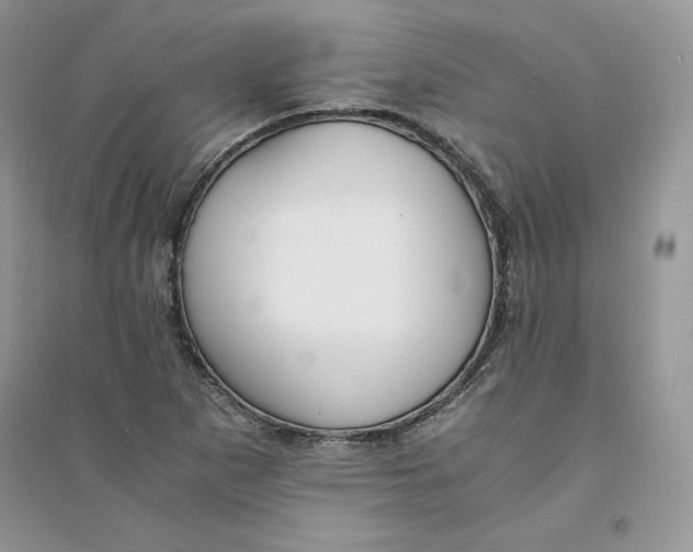 X0000094431265200711291525