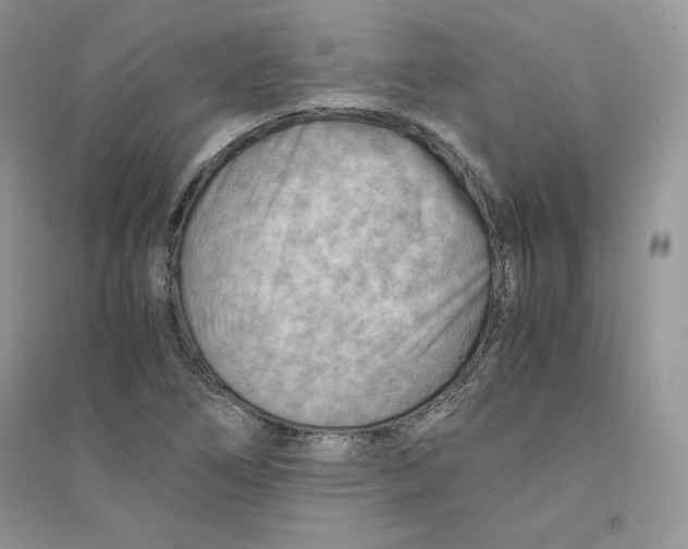 X0000094431266200711291525