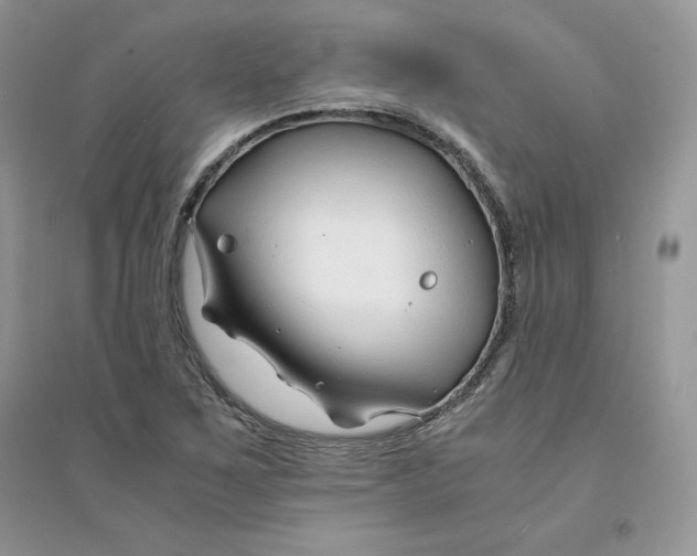 X0000094431267200711291525