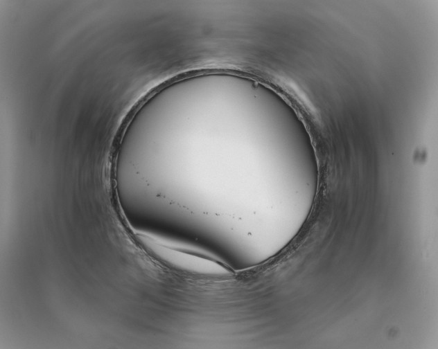 X0000094431268200711291525