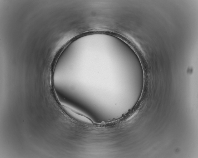 X0000094431269200711291525