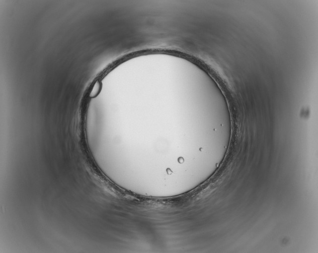 X0000094431270200711291525