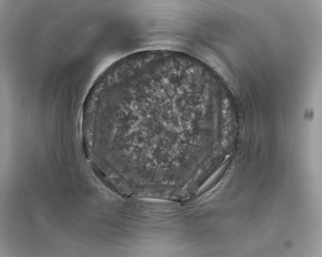 X0000094431275200711291524