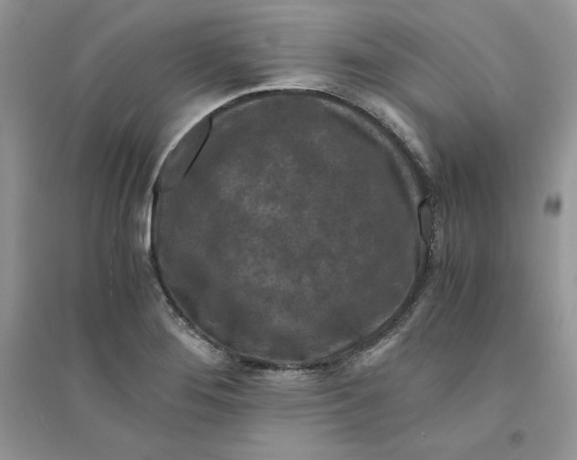 X0000094431276200711291524