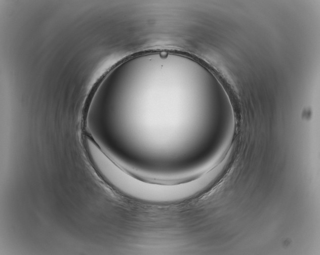 X0000094431277200711291524