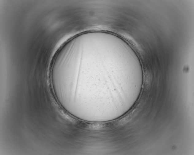 X0000094431278200711291524