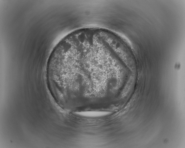 X0000094431279200711291524