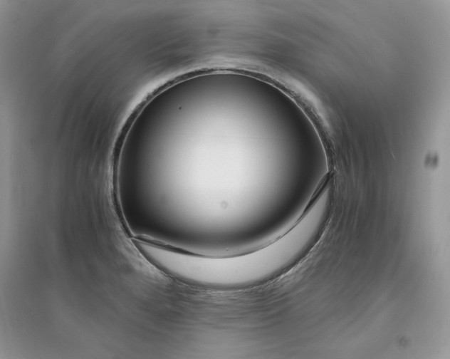 X0000094431280200711291524