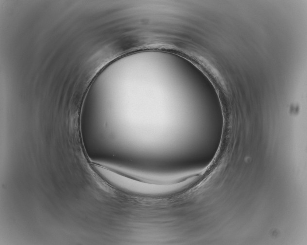 X0000094431281200711291524