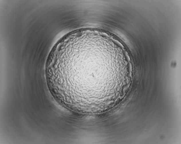 X0000094431283200711291524