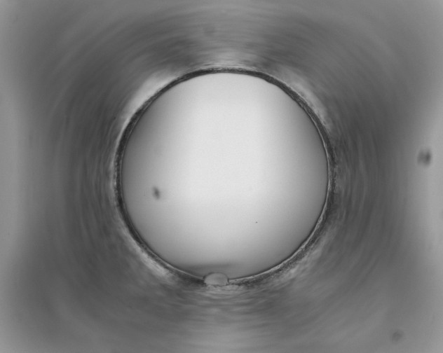 X0000094431285200711291524