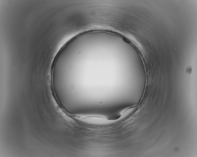 X0000094431287200711291524