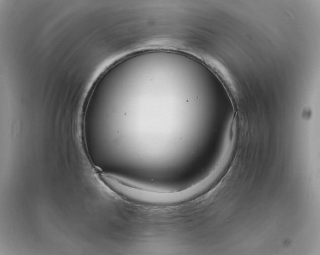 X0000094431288200711291524