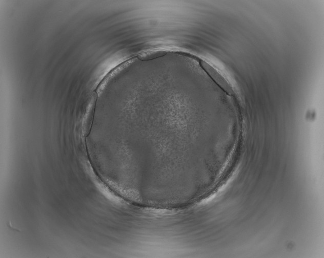 X0000094431289200711291524