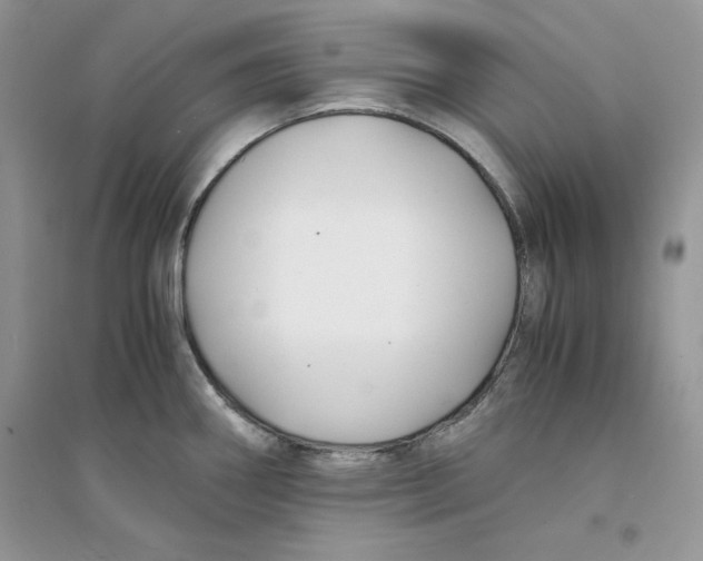 X0000094431290200711291524