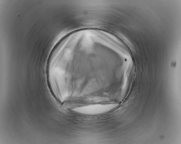 X0000094431291200711291524