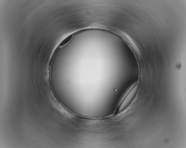 X0000094431292200711291524