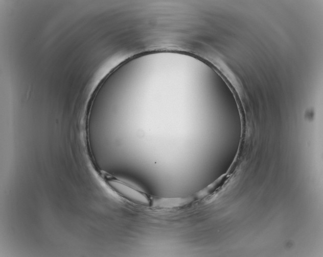 X0000094431293200711291524