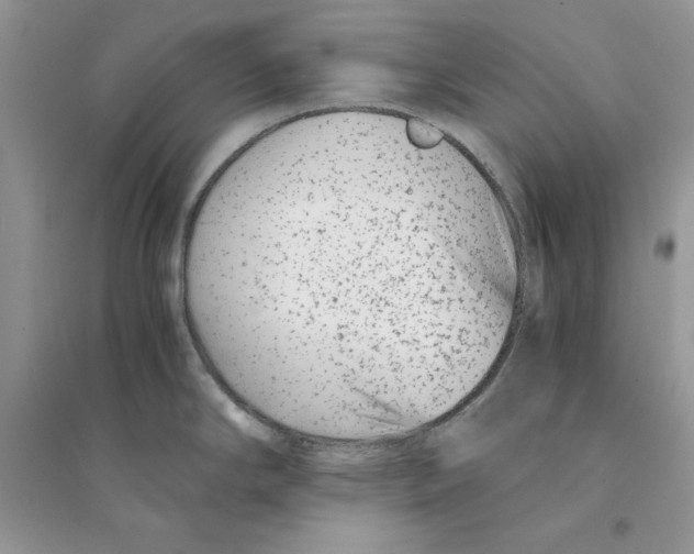 X0000094431294200711291524