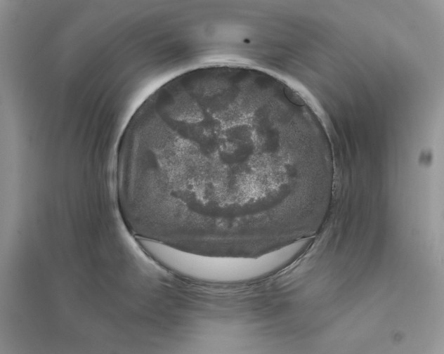 X0000094431295200711291524