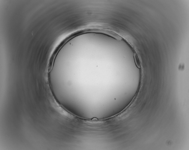 X0000094431296200711291524