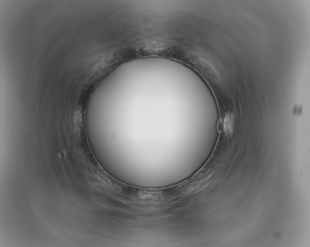 X0000094431299200711291524