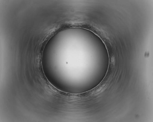 X0000094431300200711291524