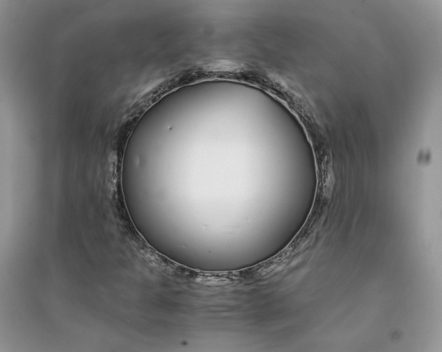 X0000094431301200711291524