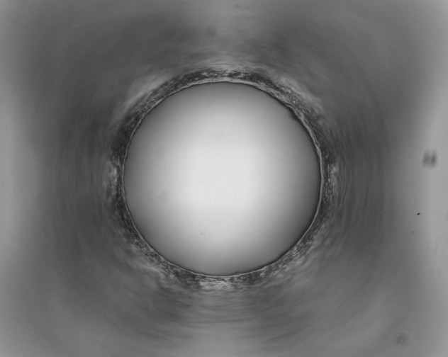 X0000094431302200711291524